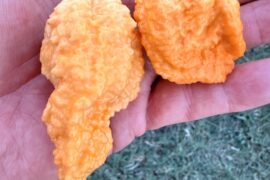 Fried Chicken on steroids