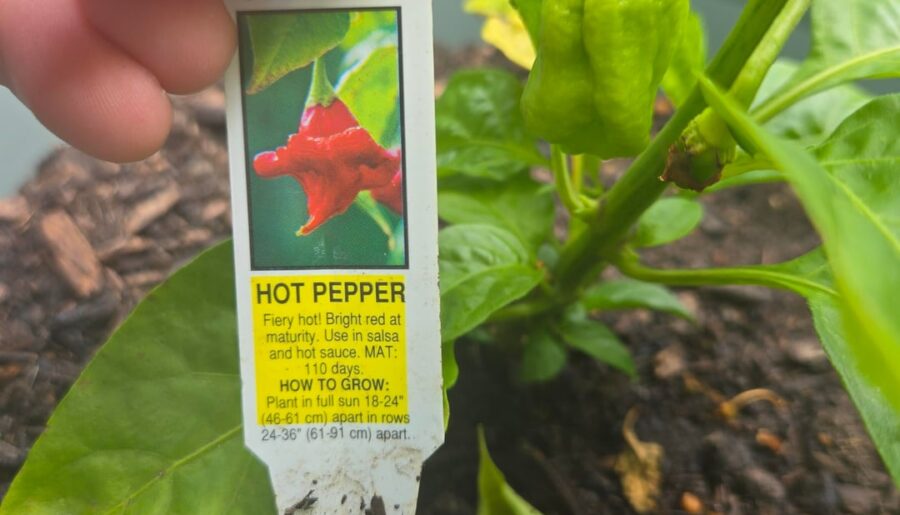 Is the label right?