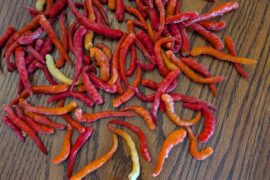 Does anyone have a cultivar recommendation?