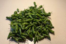 Finally! Padron peppers season has started!
