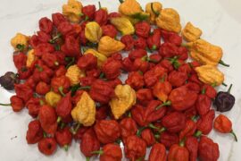 First haul of super hots this year