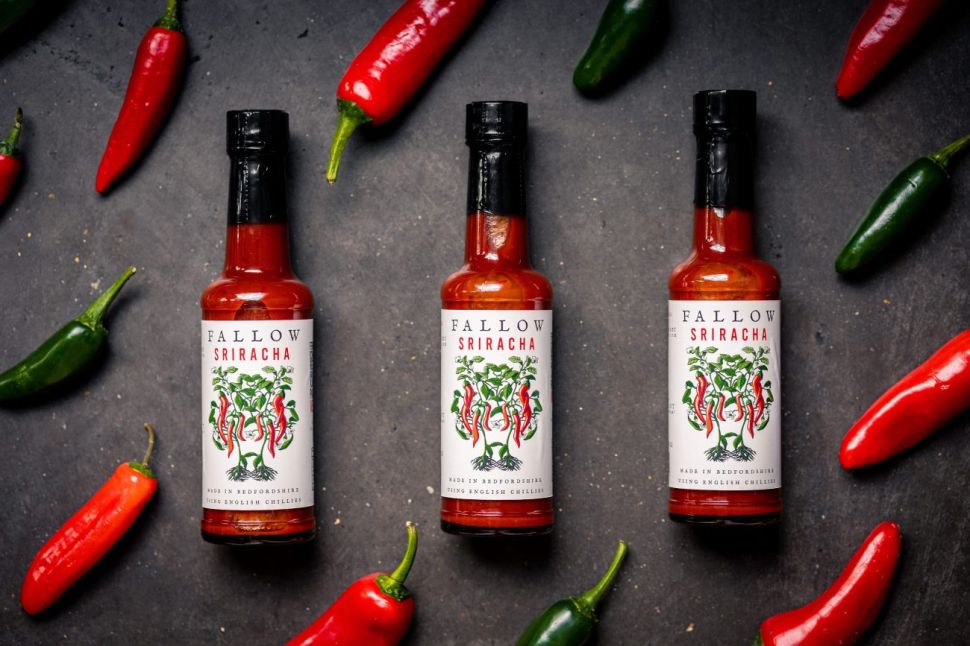 Three bottles of hot sauce, branded Fallow Sriracha, arranged on a gray background with red chili peppers.