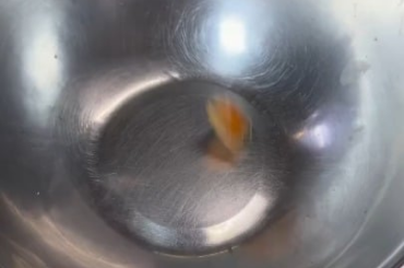 Ceviche De Camaron Seco