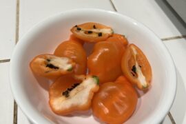 Anyone able to identify this pepper?