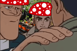 "Is there something wrong with my Scotch Bonnet?"