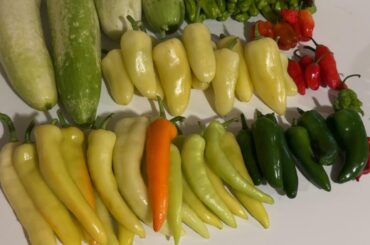 Scotch bonnet craze