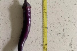 Buena Mulata