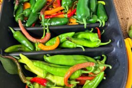 A couple of harvests.