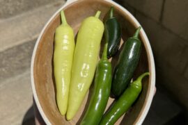 Mini harvest
