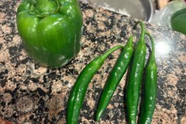 Help me identify this weird pepper please