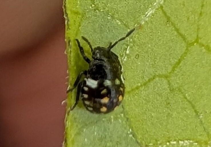 What's this and do I need to get rid of it?