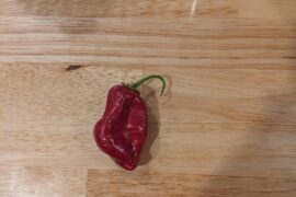 What kind of pepper is this?