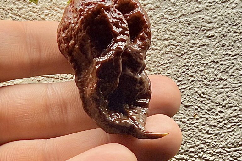 What do you see?