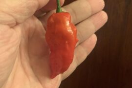 Early Ghost