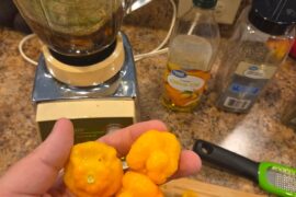 Scotch Bonnets into Jerk Chicken