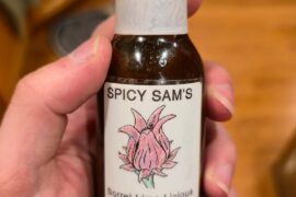 I'm opening up another Spicy Sam's