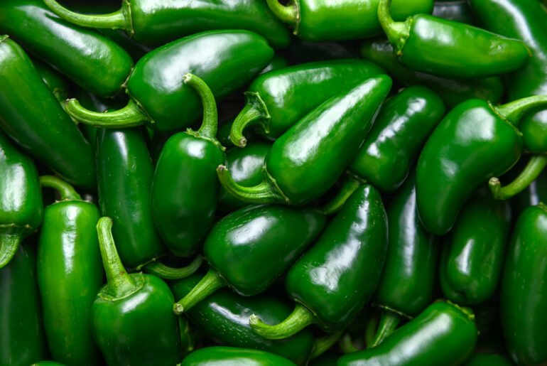 Investigation Update: Salmonella Outbreak, August 2026 | Salmonella Infection