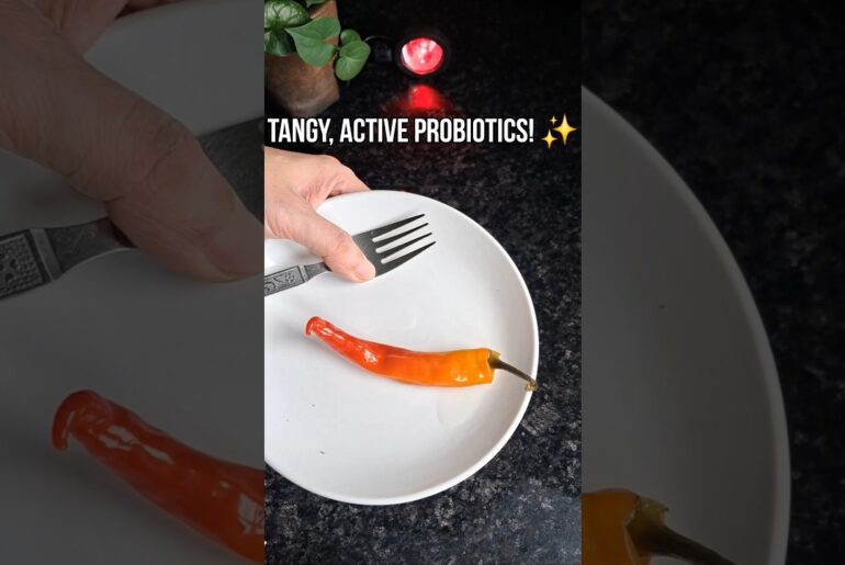 5-Day Probiotic Chilli Ferment! 🌶️✨