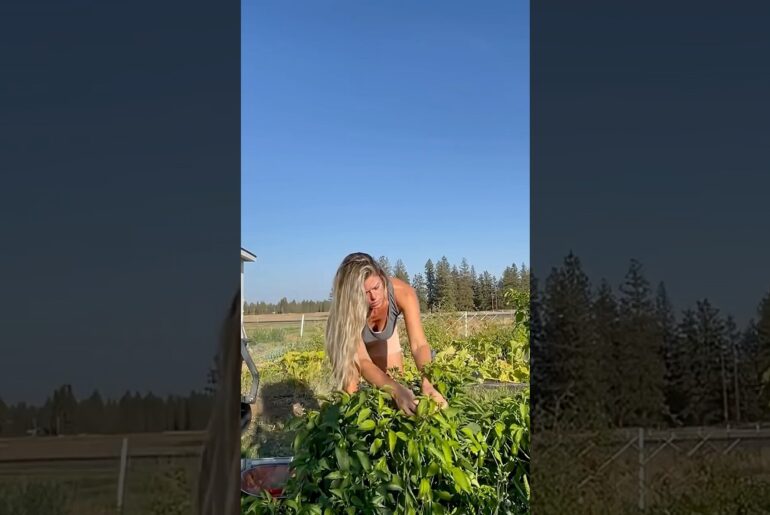 The MOST DELICIOUS Garden Fresh Salsa 💃