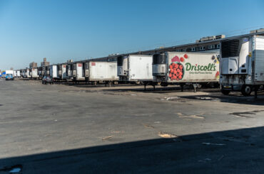 NYC's Food Lifelines: Building a System That Can Withstand Crisis