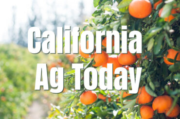 New Food Labels Coming to California