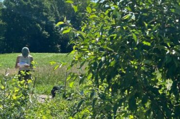 Food Amongst the Trees: Growing UNH’s Agroforestry Program