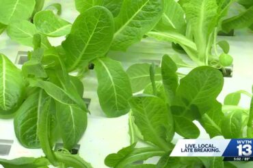 Alabama farm highlights food safety as Cyclosporiasis cases rise