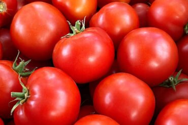 Chefs and Farmers Agree: This Is How to Spot the Juiciest Tomatoes at the Grocery Store