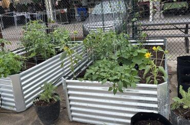 Farm to Table Fundraiser Sept. 12 for De Soto Farmers Market | Local Events