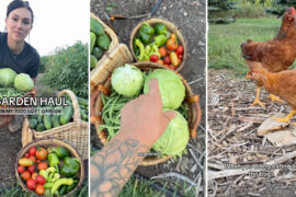 A woman holds baskets of vegetables in a garden, with chickens wandering nearby.