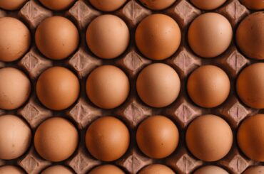 Midwest Poultry Egg Recall Now Rated FDA's Most Serious Class