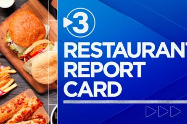 Inspectors find live insects, unattended child in restaurant kitchen | Local News