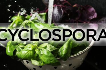 ‘Explosive diarrhea’ parasite hits Tennessee as cases surge across the U.S., health officials urge food safety | Local News