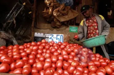 NJAU: Is Ndindi Nyoro a Ruto project?