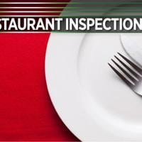 Accumulation of dirt/black mold in ice machine: Dauphin County restaurant inspections, June 14, 2026 | Restaurant Inspections
