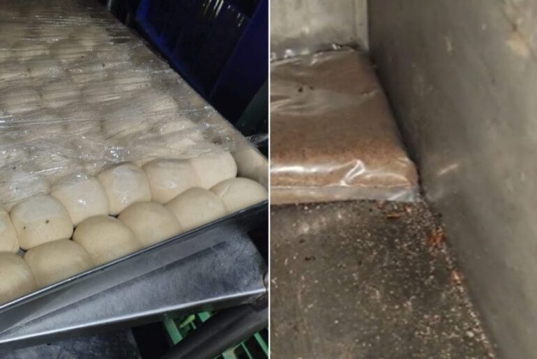 Cockroaches, expired food: Karnataka FDA finds food safety lapses at elite Bengaluru clubs