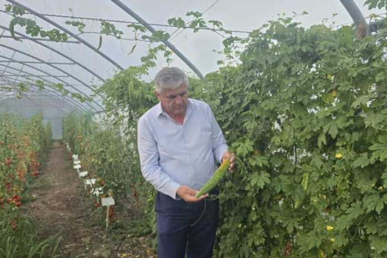 Romania: BRGV to present hottest chilis International Horticultural Congress