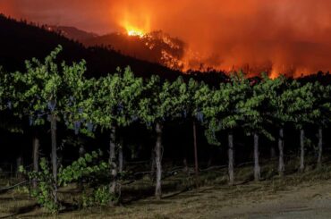 California wineries want a Pickett Fire payout. Only one company, co-founded by Gavin Newsom, got a settlement so far