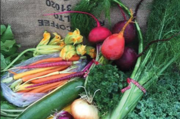 CSA-farms-cropped
