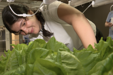 UMKC launches hydroponic farming program to fight Kansas City food insecurity