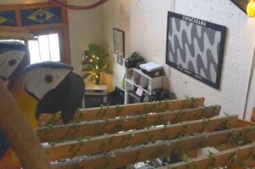 Construction slows down business at downtown Sioux Falls restaurant