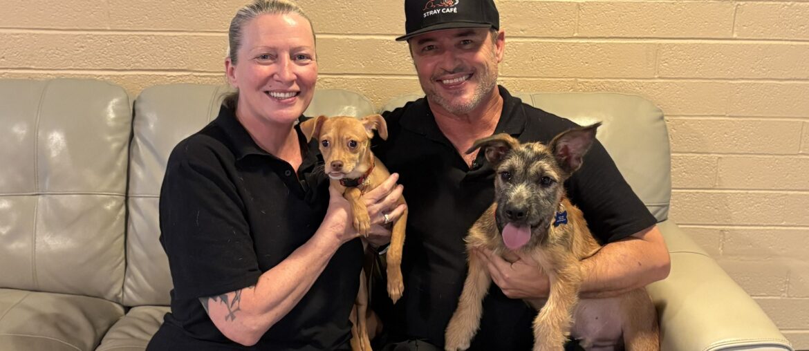 Arizona’s first dog cafe is now open in Phoenix