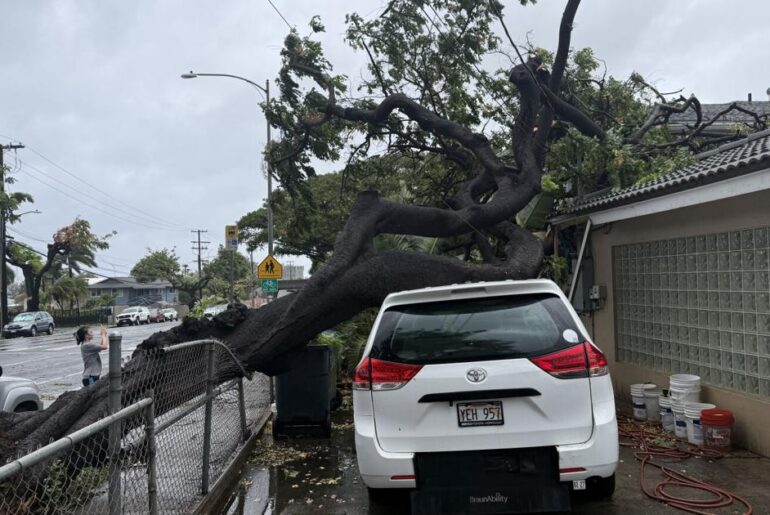 SNAP recipients can get reimbursed for food lost during Hurricane Lala | News