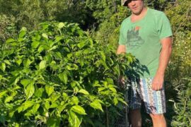 YO, anyone else's peppers ripening slow in zone 6B, Niagara, Ontario?