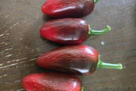 How do you like your jalapenos?