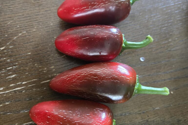 How do you like your jalapenos?