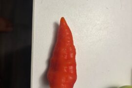 Bhut jolokia ?