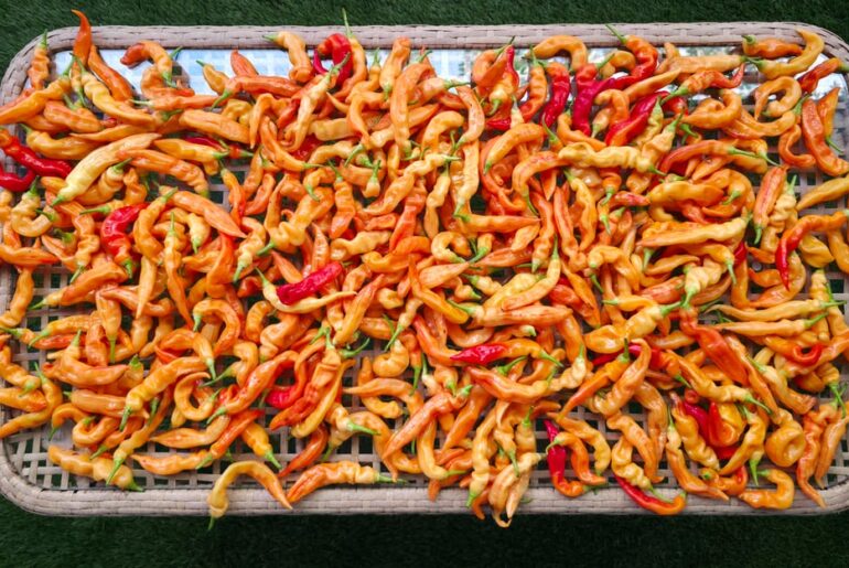 Second harvest