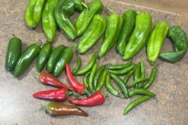 I was bored. Bought a bag of peppers for $2.99 and made a hot sauce.