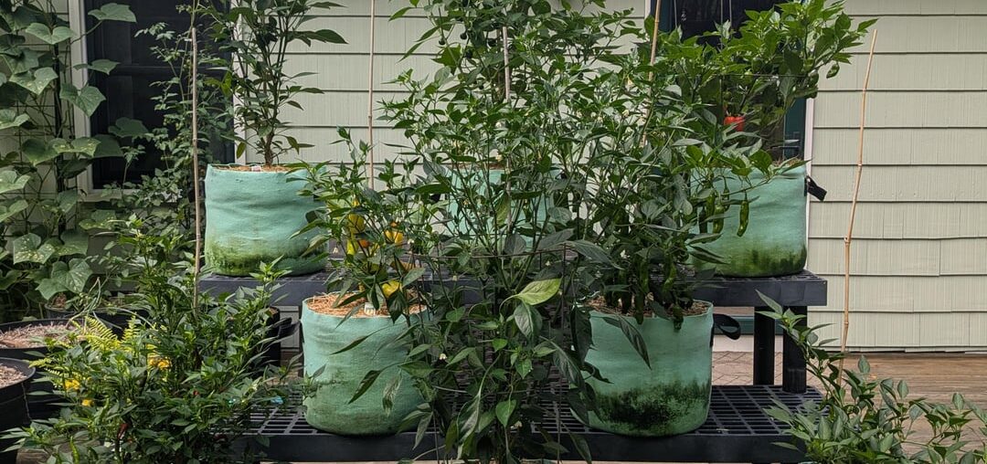 The pepper platform is working out well
